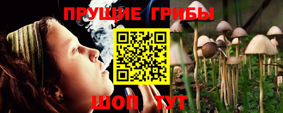 Галлюциногенные грибы мицелий Санкт-Петербург